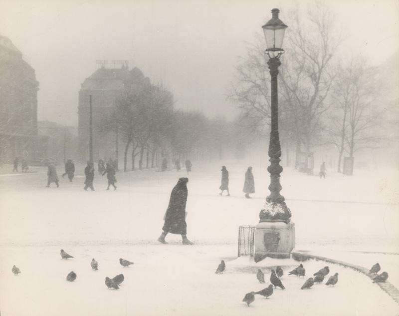 Blizzards snowfalls in new york city history – Artofit