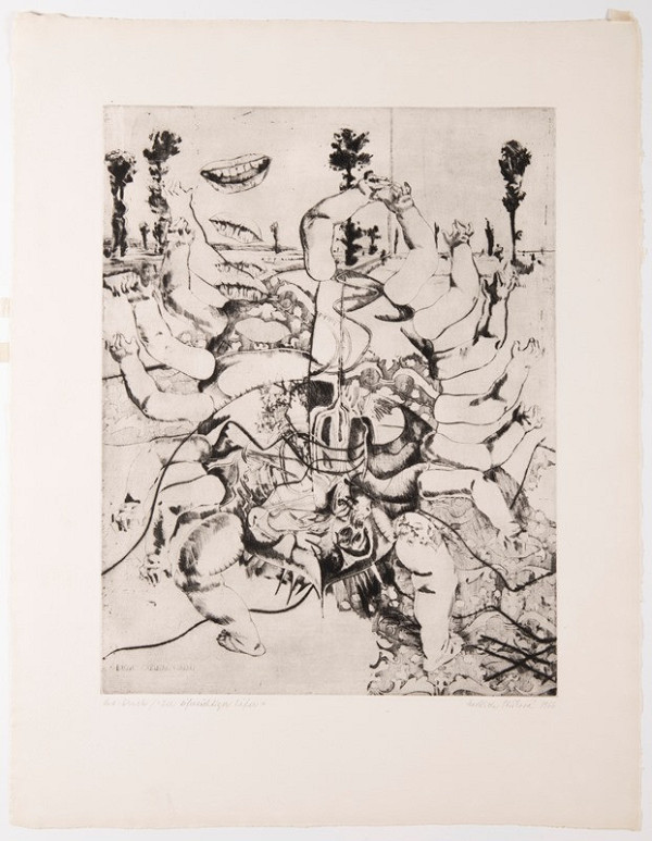 Naděžda Plíšková – Brouk žárlivák jarní 