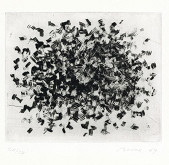 Václav Boštík – Pole V 