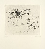 Václav Boštík – Pole I 