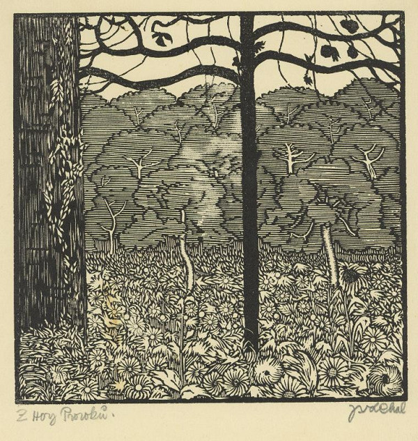 Josef Váchal – Z hory prokopů 