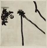 Olga Čechová – Šest částí těla, III Hruď 