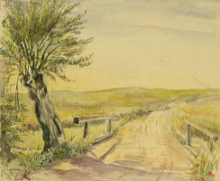 Zdeňka Kalašová – Z Třeboně VI. 