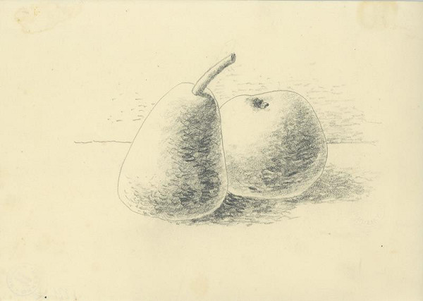 František Muzika – Hrušky a jablka