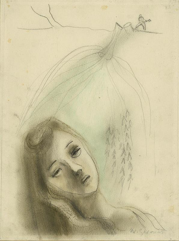 Zdeněk Sklenář – Vrba 