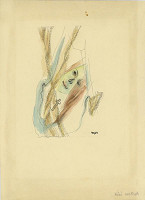 Toyen – Vůně svatosti 