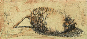 Vladimír Studený – Šiška 