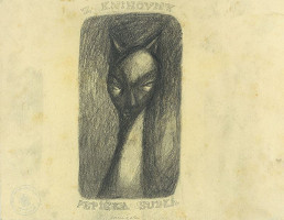 Ota Janeček – Kočka 