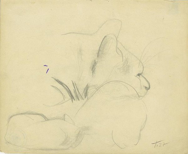 František Tichý – Kočka 