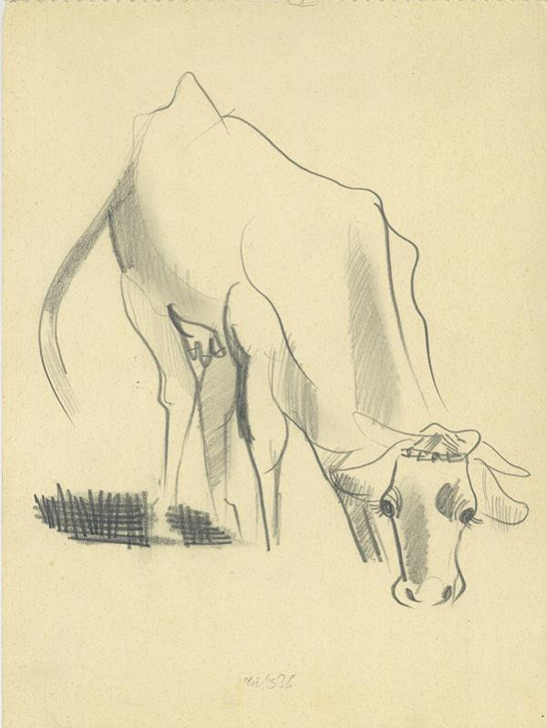 František Tichý – Kráva