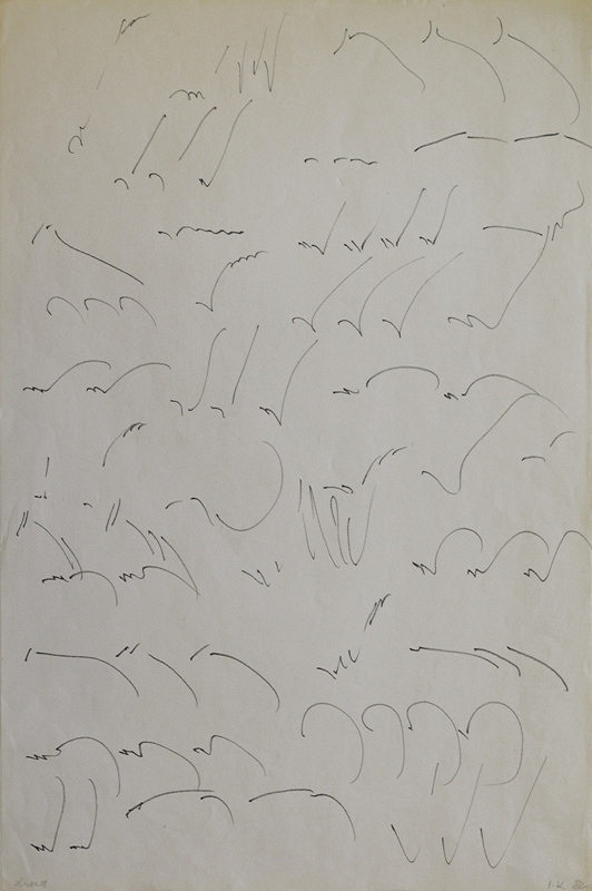 Olga Karlíková – Drozd 