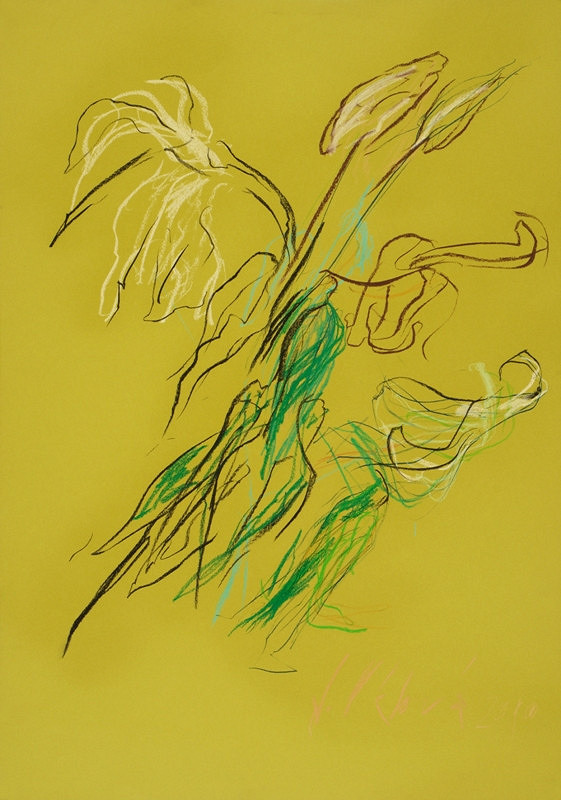 Jitka Válová – Královské lilie - zvadlé 