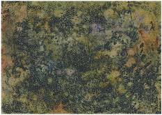 Kristýna Šormová – Z cyklu Haiku II 