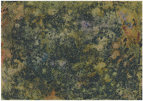 Kristýna Šormová – Z cyklu Haiku II 