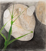 Karel Pauzer – Bledé tváře 