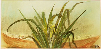 Vilém Plocek – Loďka u břehu 