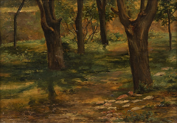 Zdenka Braunerová – Kmeny 