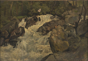 Antonín Picek – Lesní bystřina 