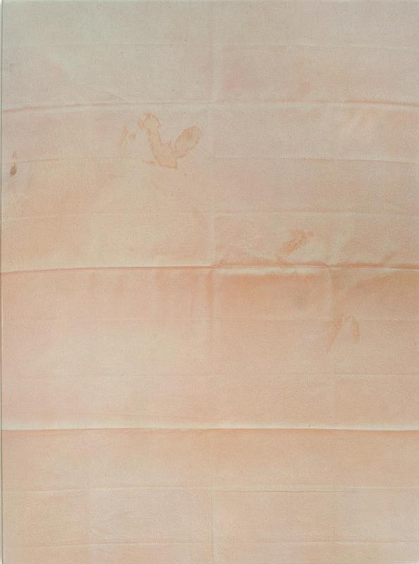 Monika Žáková – Z cyklu Ozvěny fragility /035/