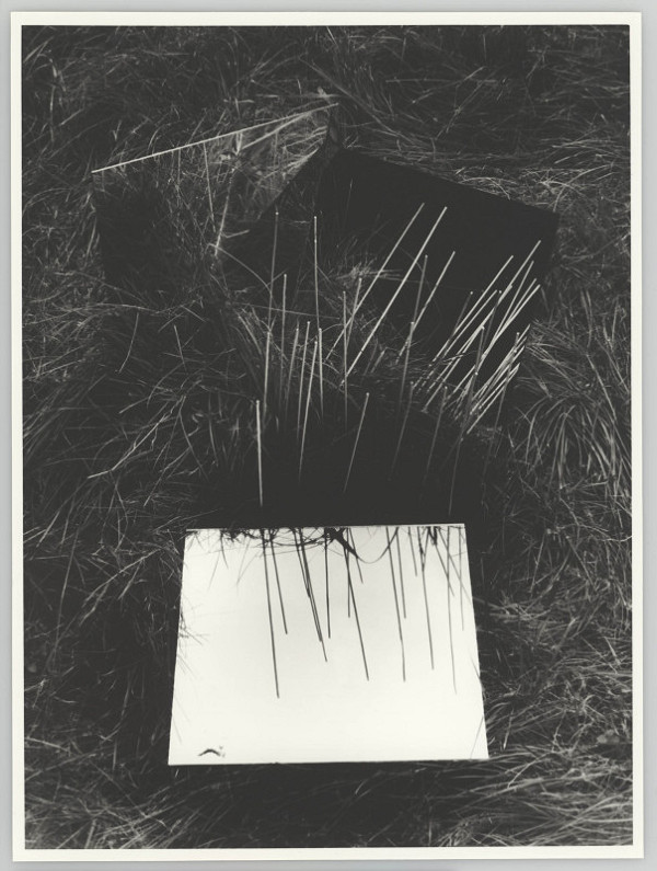 Alexandr Skalický – Podivné traviny 1 