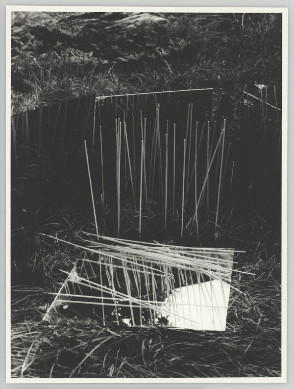 Alexandr Skalický – Podivné traviny 2 