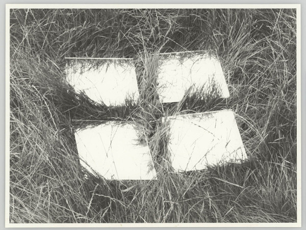 Alexandr Skalický – Zrcadlení v trávě 2 