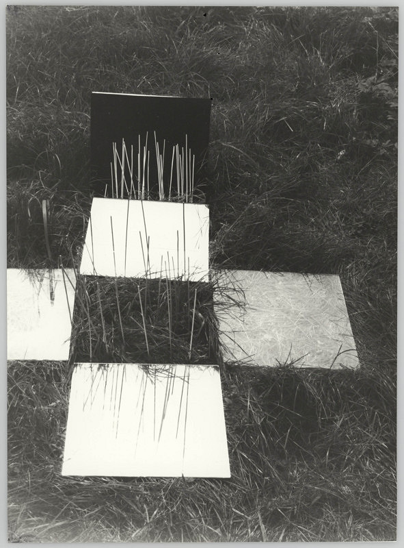 Alexandr Skalický – Zrcadlení v trávě 4 