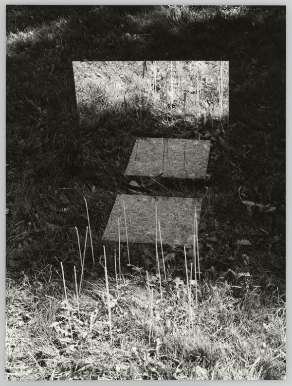 Alexandr Skalický – Zrcadlení v trávě 5 