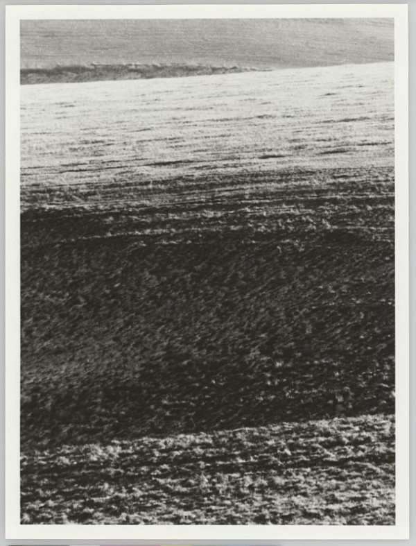 Alexandr Skalický – Ticho v krajině 1 