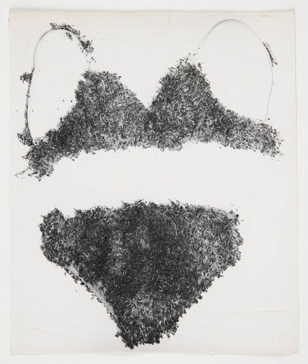 Teresa Murak – Vysévání sbírky rostlin (Zasiew [Kolekcja roślinna]) 