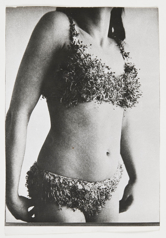 Teresa Murak – Vysévání sbírky rostlin (Zasiew [Kolekcja roślinna]) 