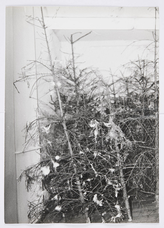 Zbigniew Makarewicz – Byl les (Byl las) 