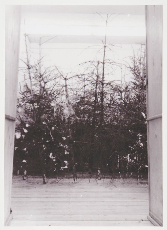 Zbigniew Makarewicz – Byl les (Byl las) 