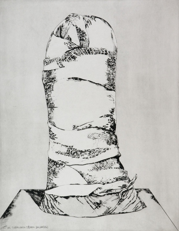 Naděžda Plíšková – Na théma pana Césara 