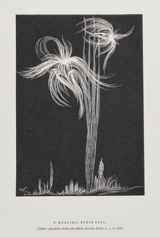 František Kobliha – Květy šera 