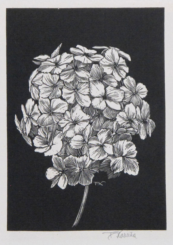 František Kobliha – Kalina 