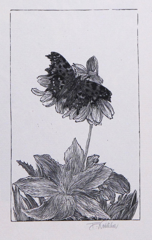 František Kobliha – Bílé C – Vanessa C album 