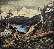 Josef Krejsa – Jezero Plešné 