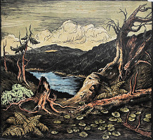 Josef Krejsa – Jezero Plešné 