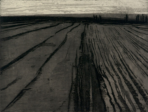 Ladislav Čepelák – Pole 