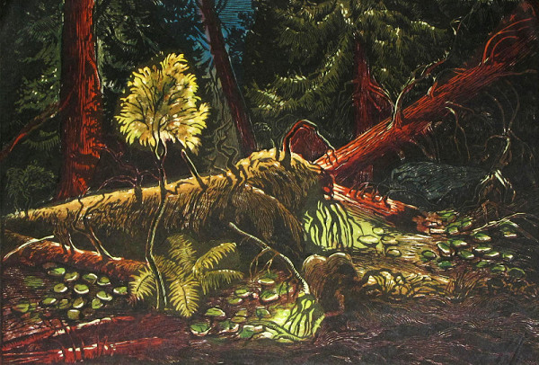 Josef Krejsa – Šumavský prales