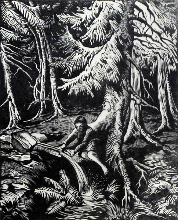 Josef Krejsa – Prameny Vltavy 