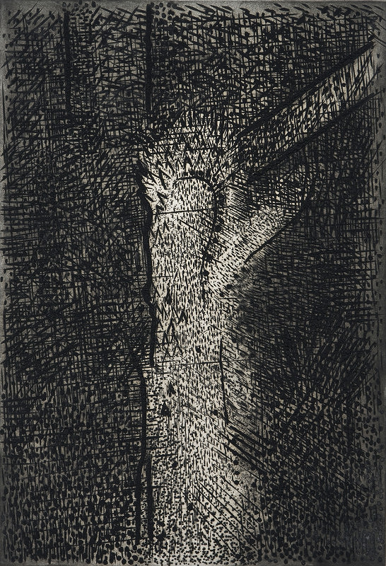 Jiří Samek – Strom v noci (Túje) 