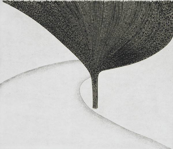 Jiří Samek – Cesta a strom 