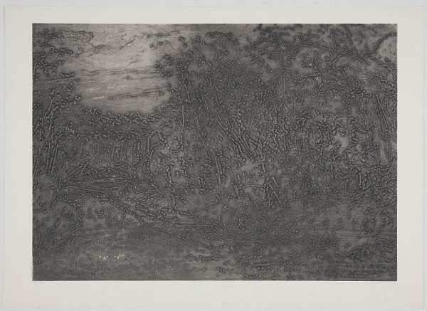 Alena Kučerová – Večerní les 