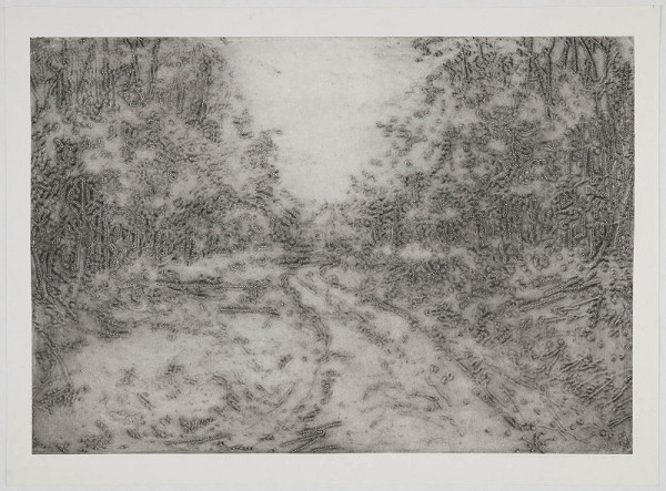 Alena Kučerová – Lesní cesta 