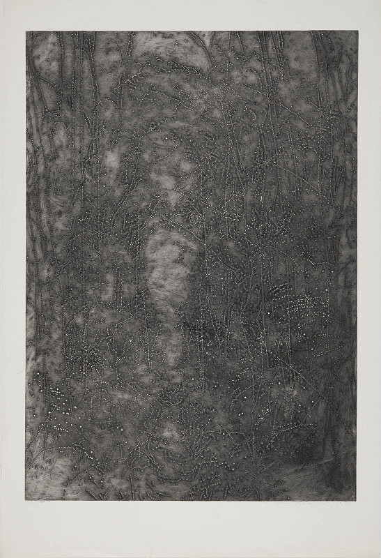 Alena Kučerová – Lesní příkop 