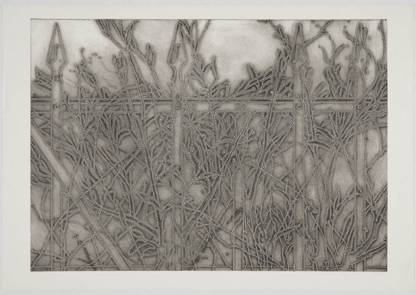 Alena Kučerová – Plot 