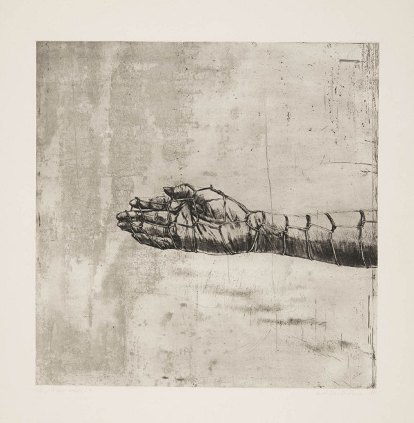 Naděžda Plíšková – Bez názvu 