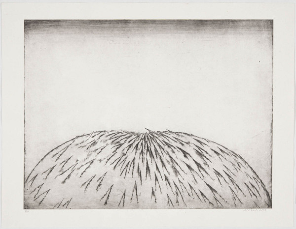 Miloš Ševčík – Ke středu 